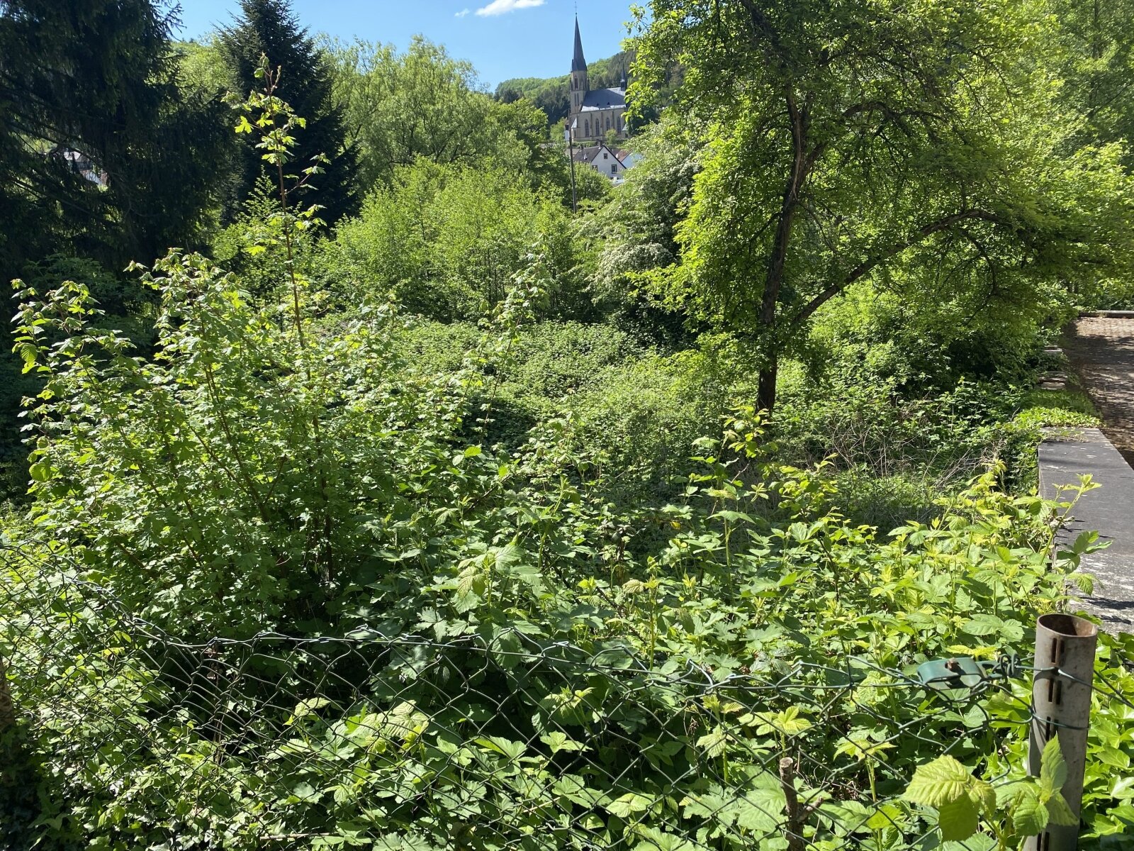 Bauplatz in ruhiger Seitenstraße Bauplatz in ruhiger Seitenstraße