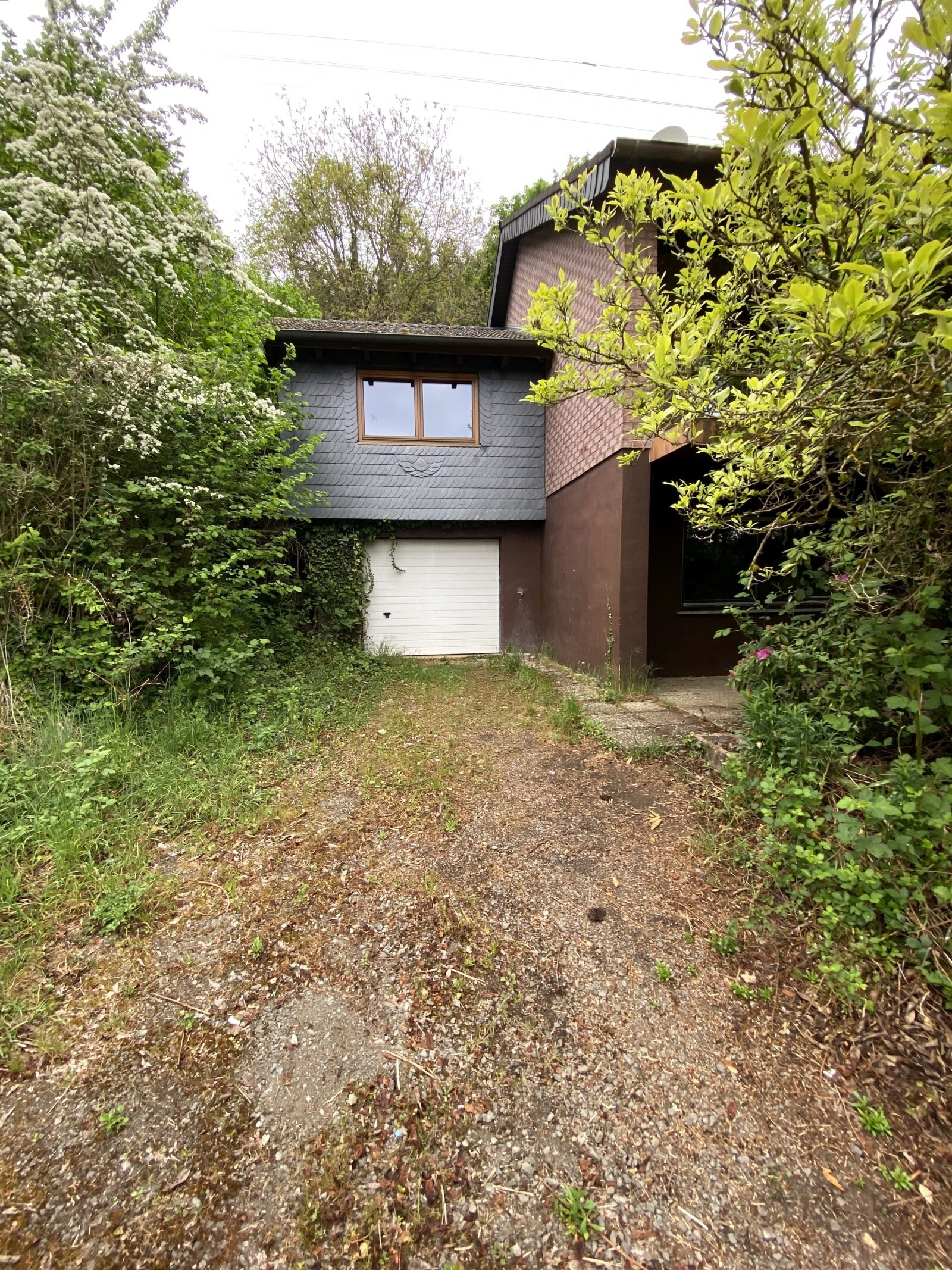 Einfamilienhaus mit Einliegerwohnung auf großem Grundstück Einfamilienhaus mit Einliegerwohnung auf großem Grundstück