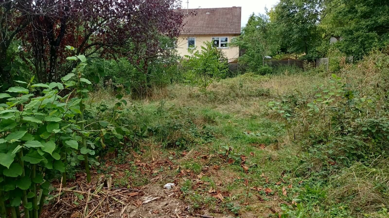 Baugrundstück in Ortslage am Fuße des Hunsrücks Baugrundstück in Ortslage am Fuße des Hunsrücks